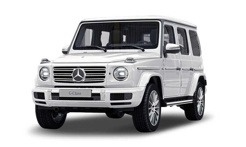 폴라 화이트 익스테리어